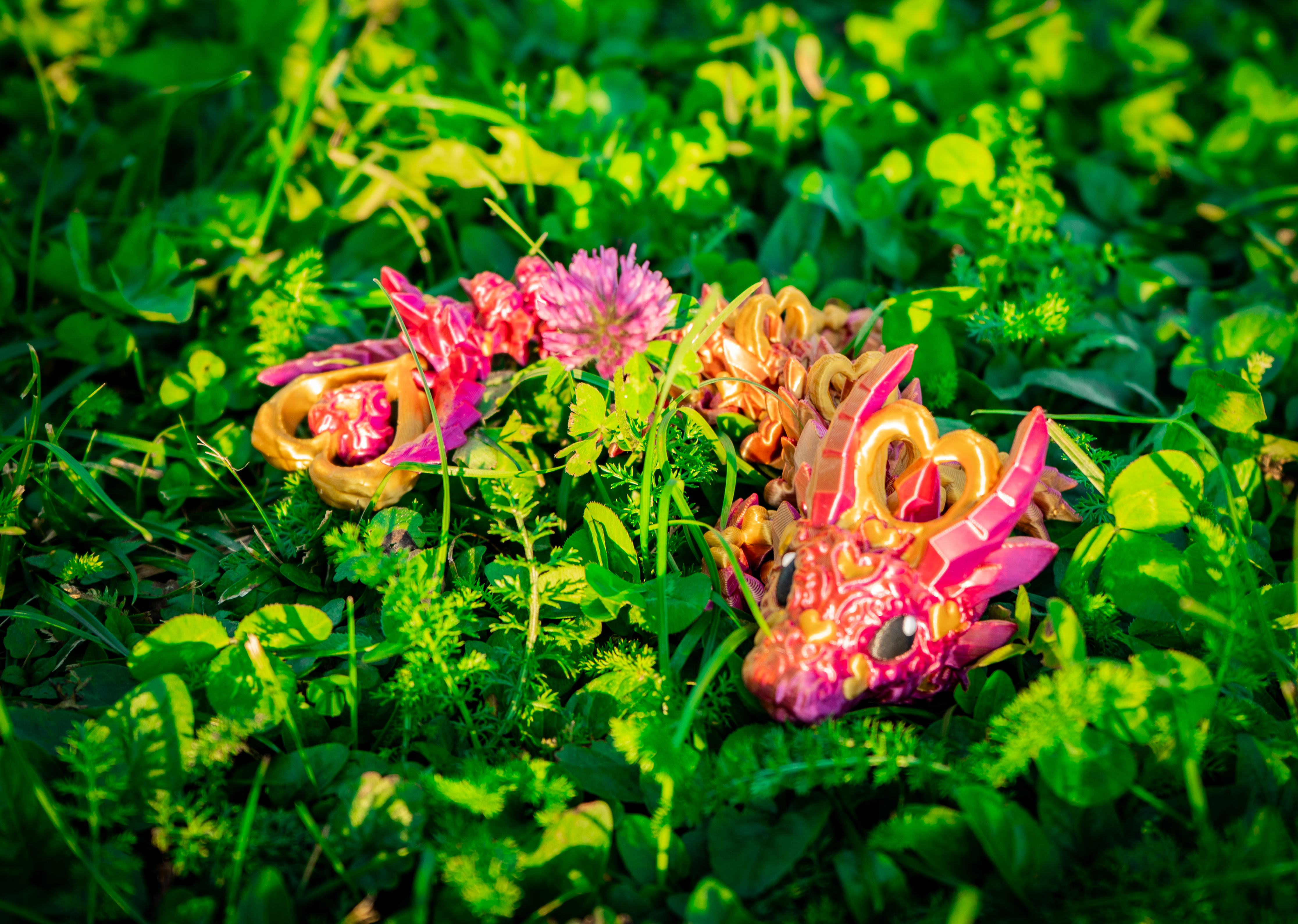 Herz Heart Baby Drache