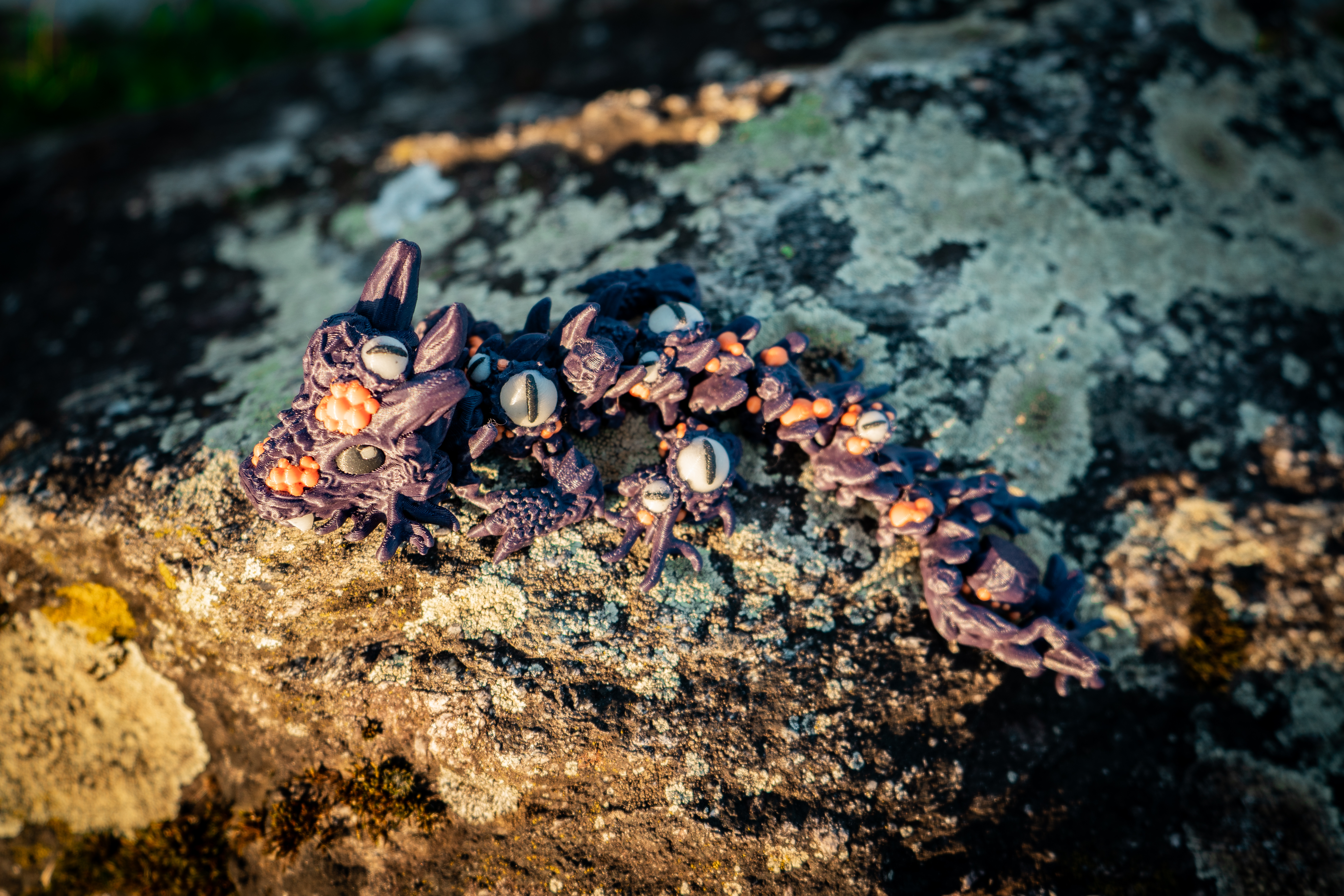 Infested Baby Drache