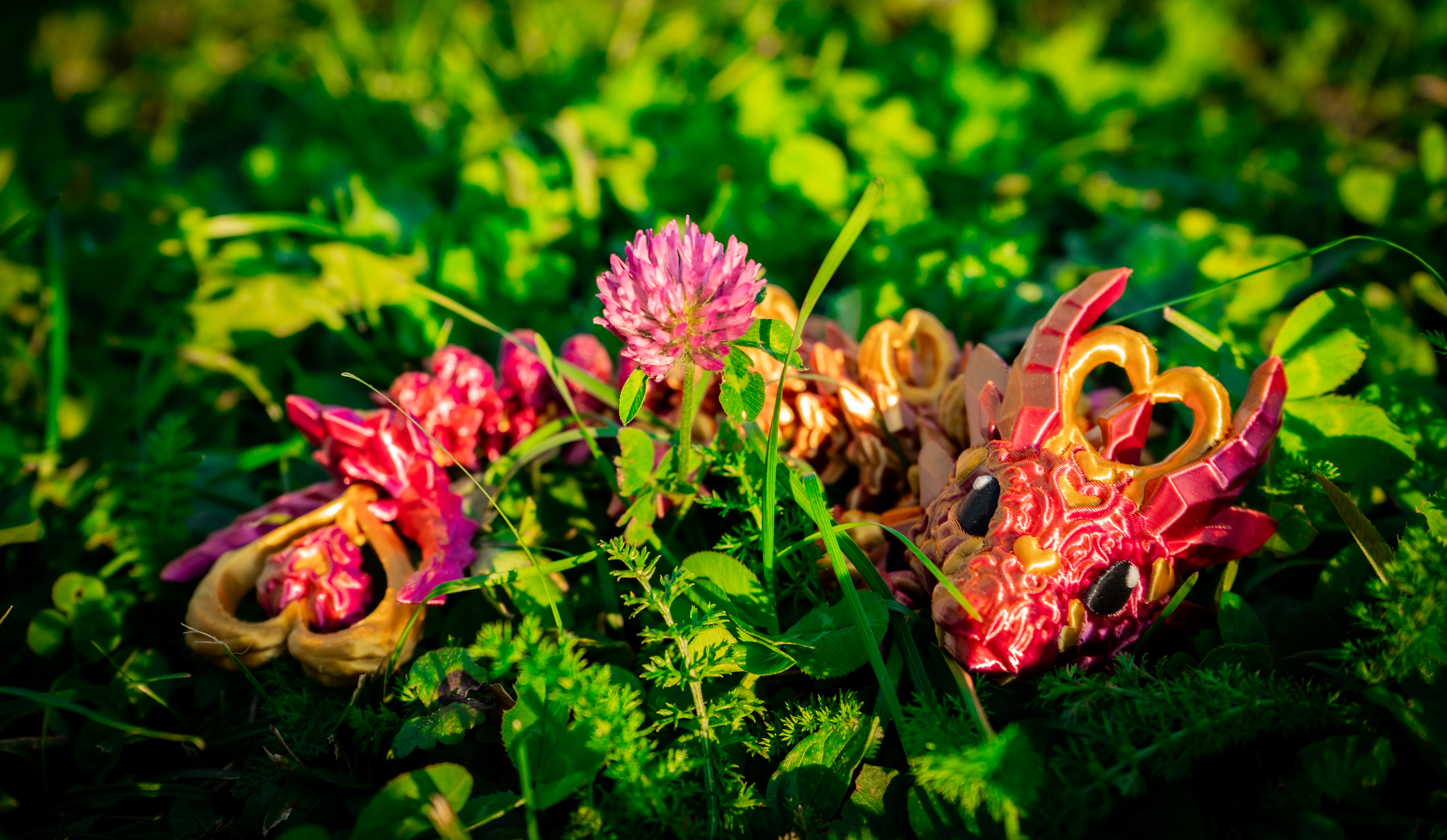 Herz Heart Baby Drache