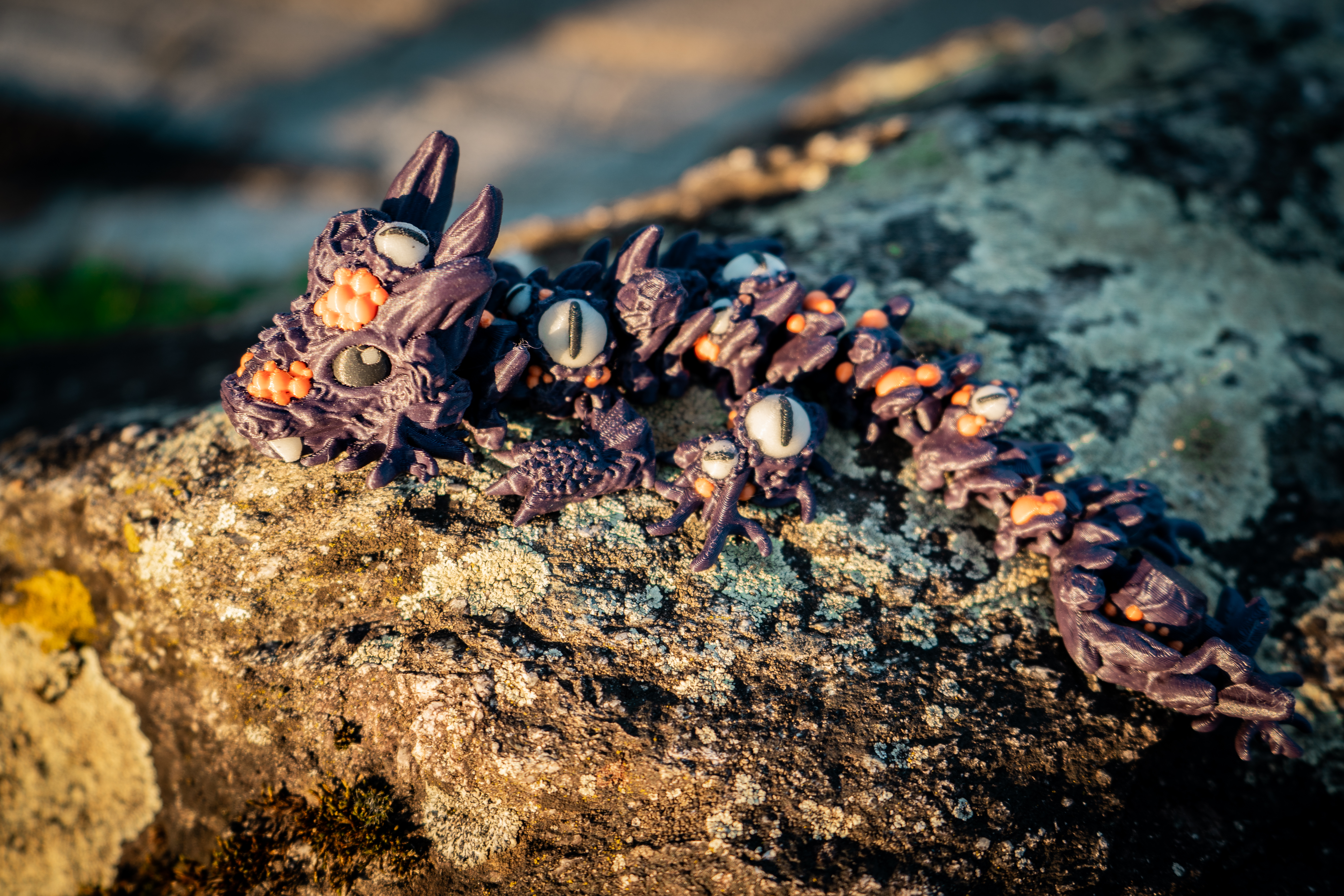 Infested Baby Drache