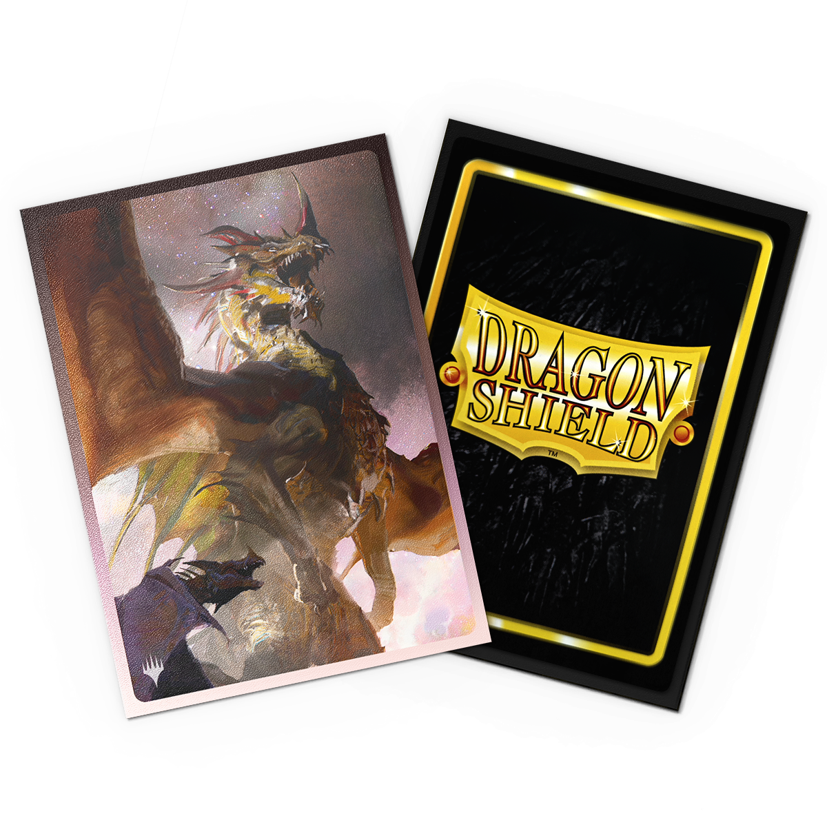 Dragon Shield Standard Art Sleeves (100 Sleeves)