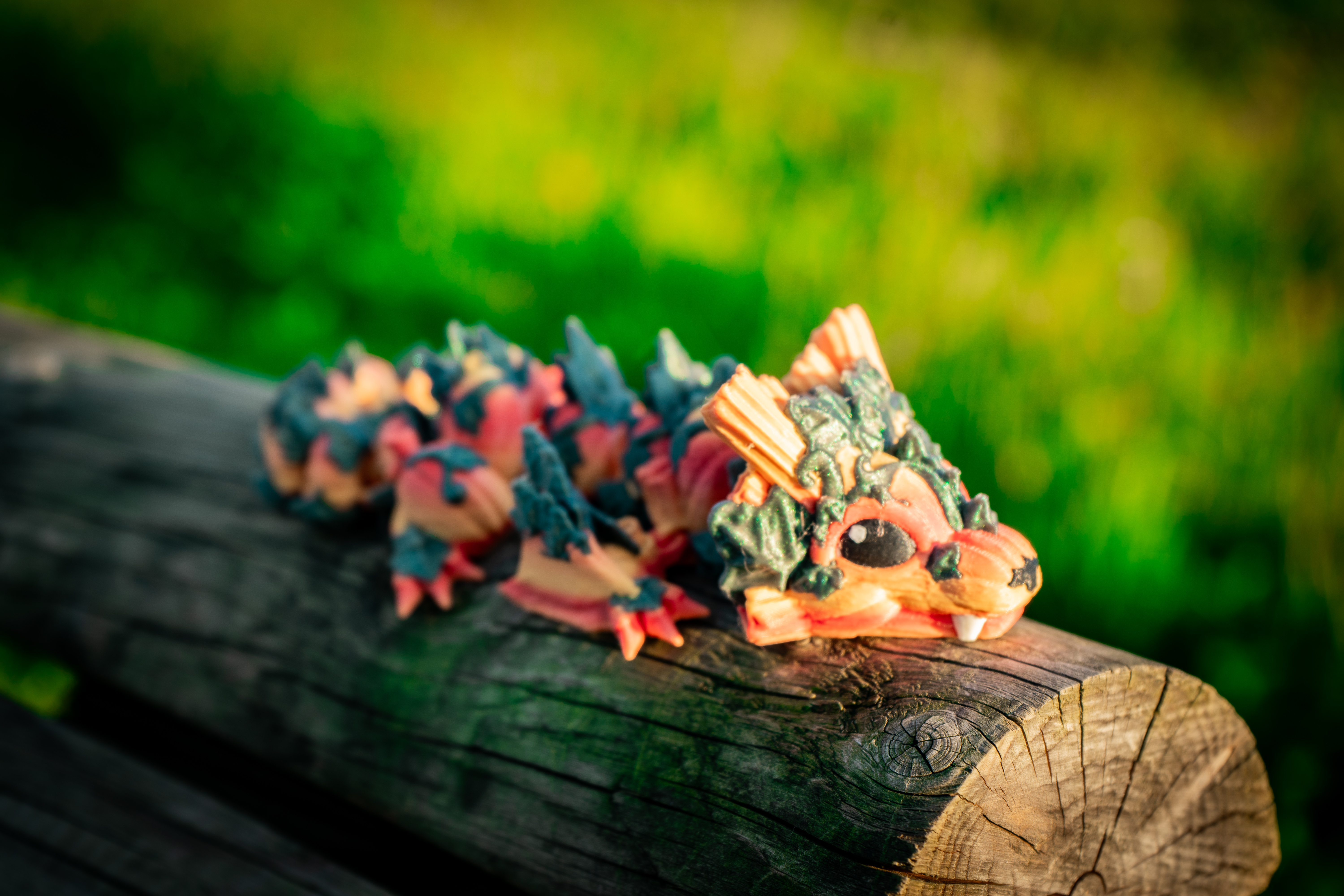 Pumpkin Kürbis Baby Drache