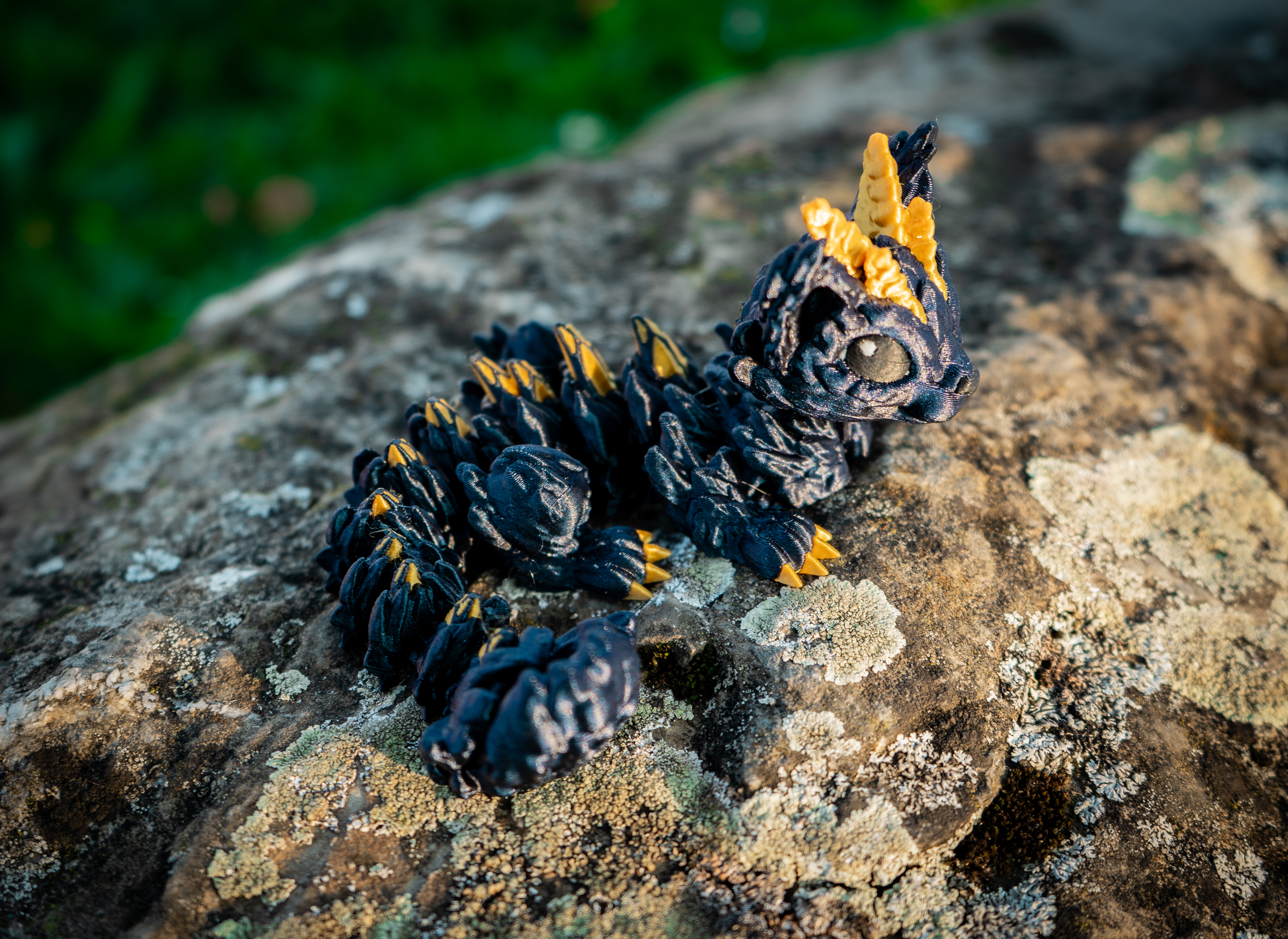 Golden Cat Katze Baby Drache