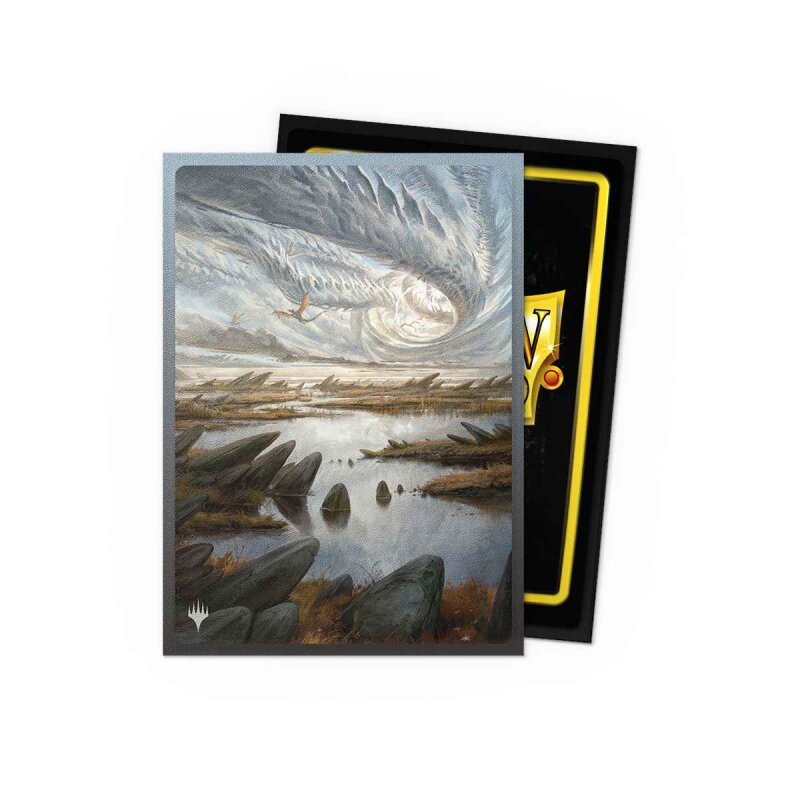 Dragon Shield Standard Art Sleeves (100 Sleeves)