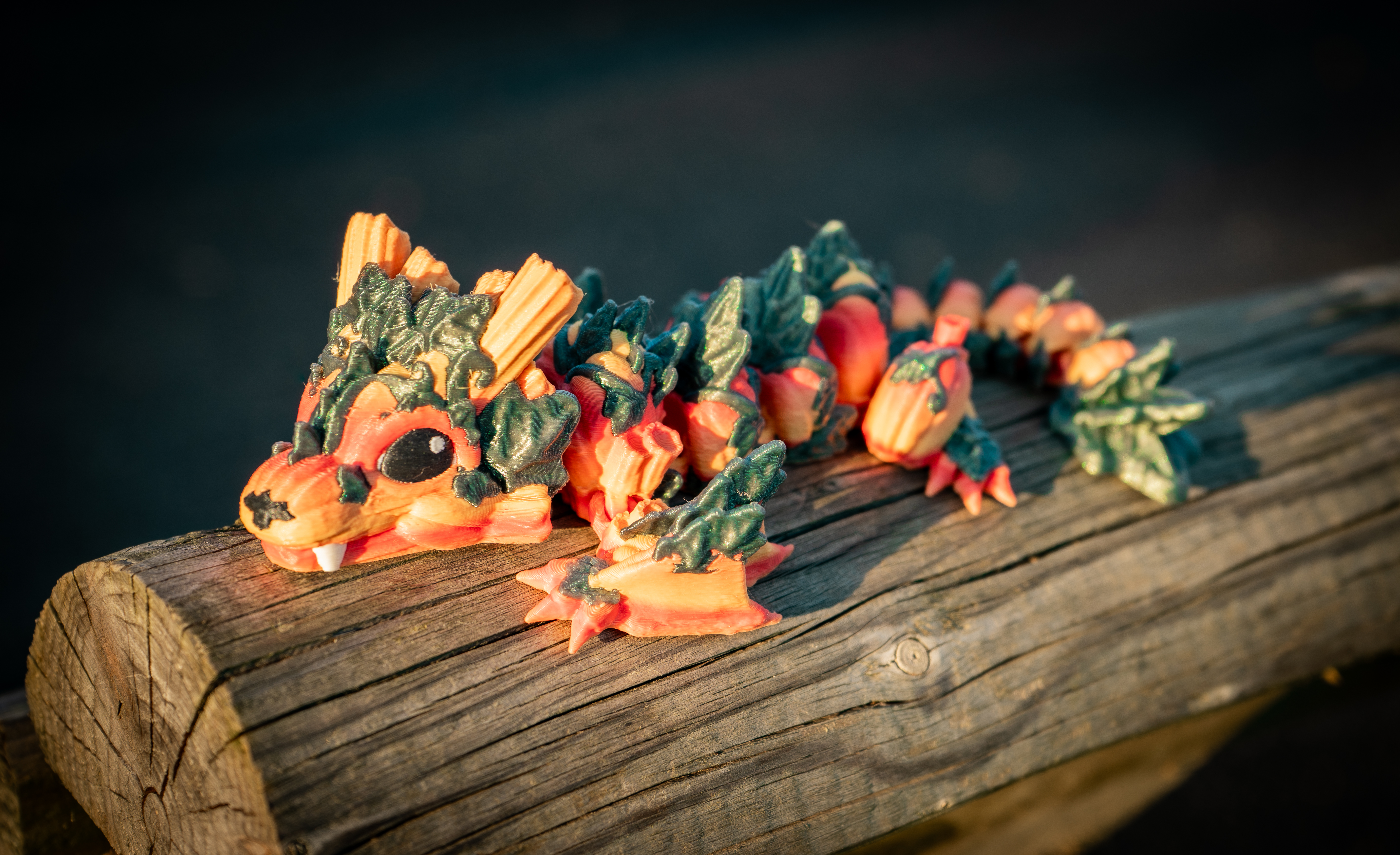 Pumpkin Kürbis Baby Drache