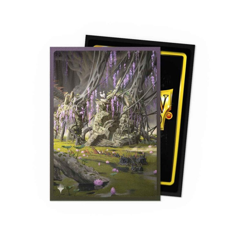 Dragon Shield Standard Art Sleeves (100 Sleeves)
