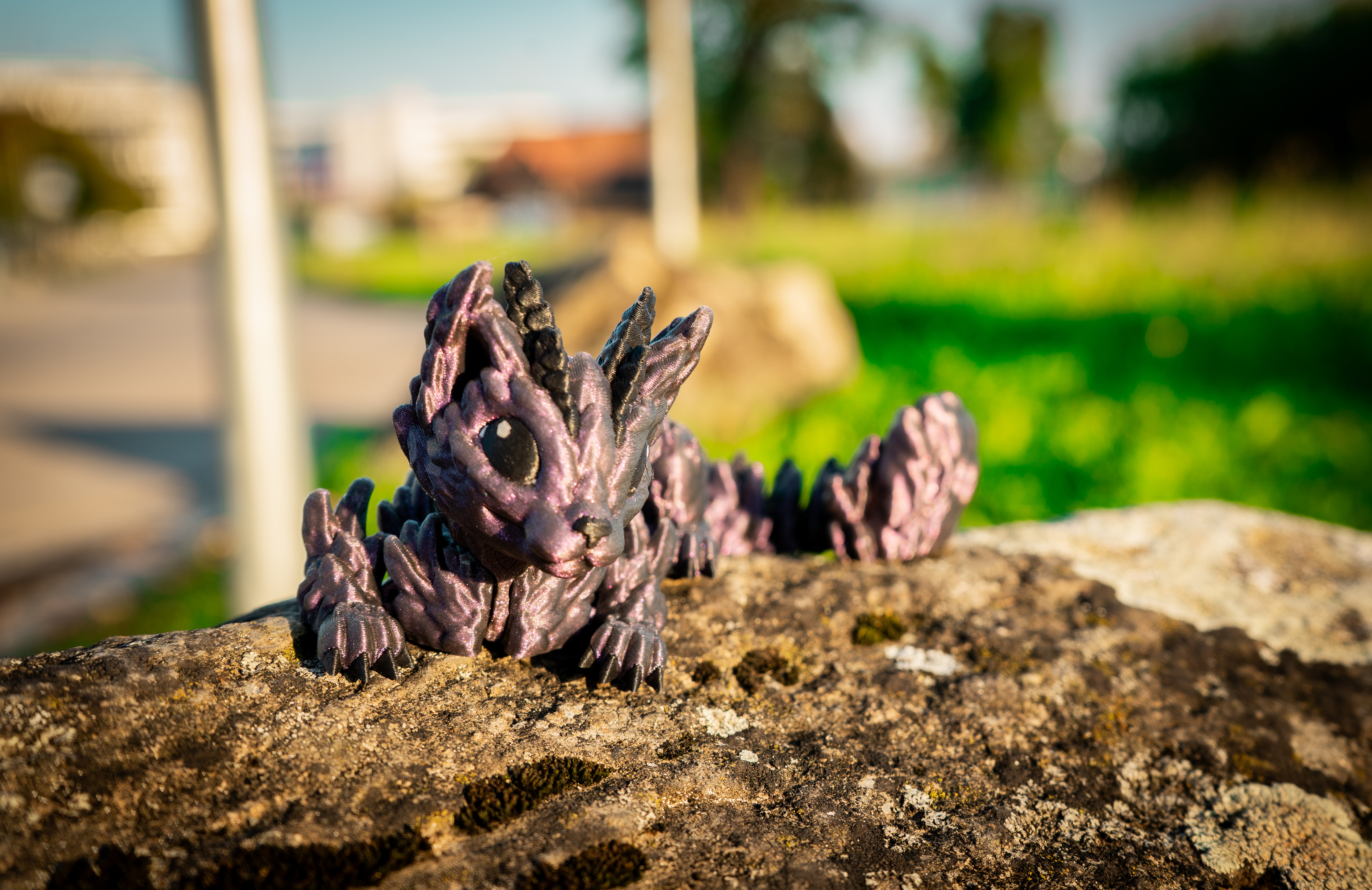 Purple Cat Katze Baby Drache